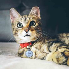 Load image into Gallery viewer, NFC Pet tag