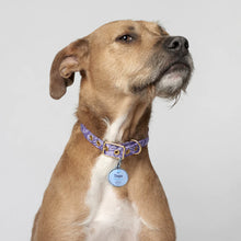 Load image into Gallery viewer, Pet tag, petago, NFC tag
